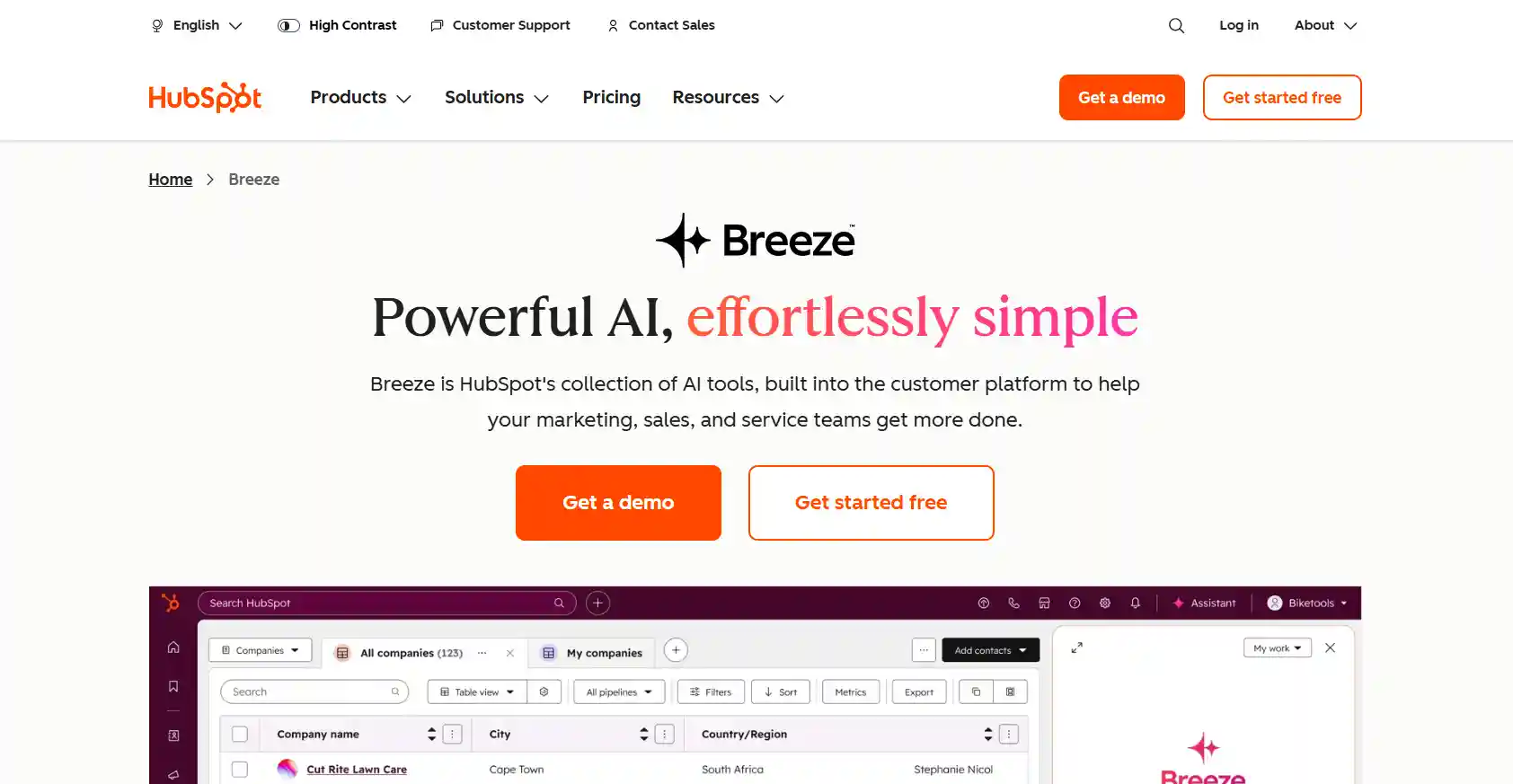 HubSpot AI